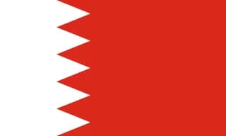 바레인 flag
