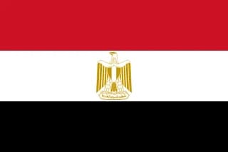 이집트 flag