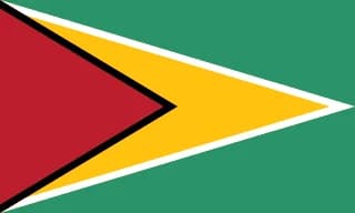 가이아나 flag