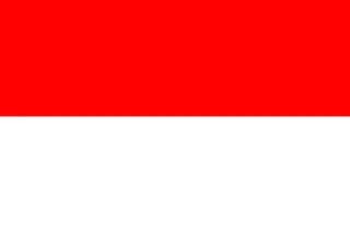 인도네시아 flag