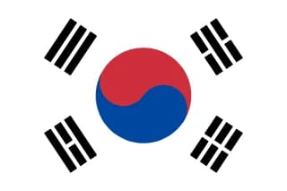 대한민국 flag