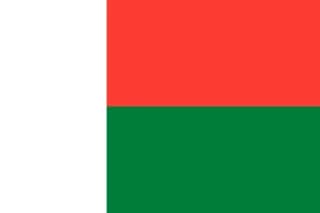 마다가스카르 flag