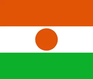 니제르 flag