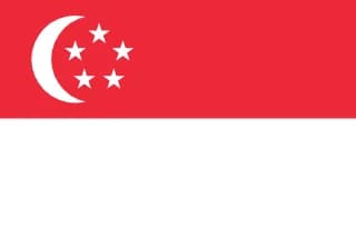 싱가포르 flag