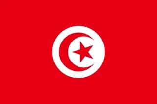 튀니지 flag