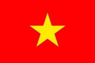 베트남 flag